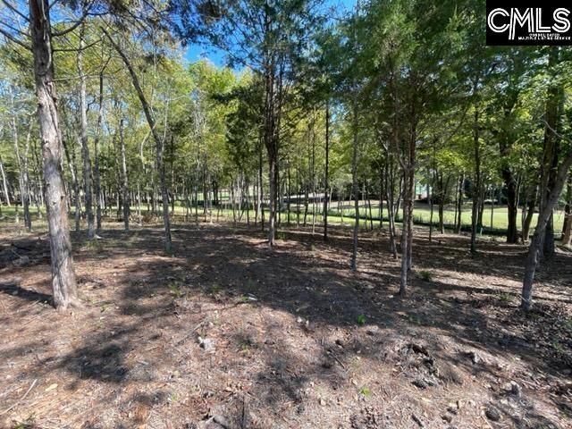 1029 Refuge Place Photo 10