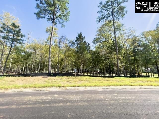 1029 Refuge Place Photo 4
