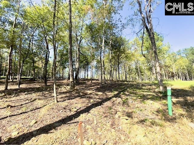 1029 Refuge Place Photo 6