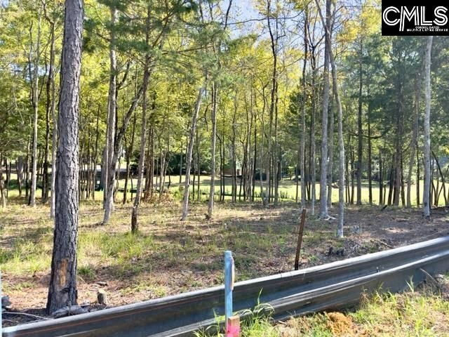 1029 Refuge Place Photo 8