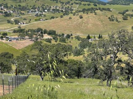 10069 Alamo, La Grange, CA 95329 Photo