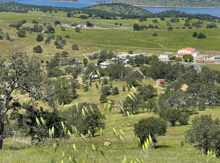 10069 Alamo, La Grange, CA 95329 Photo