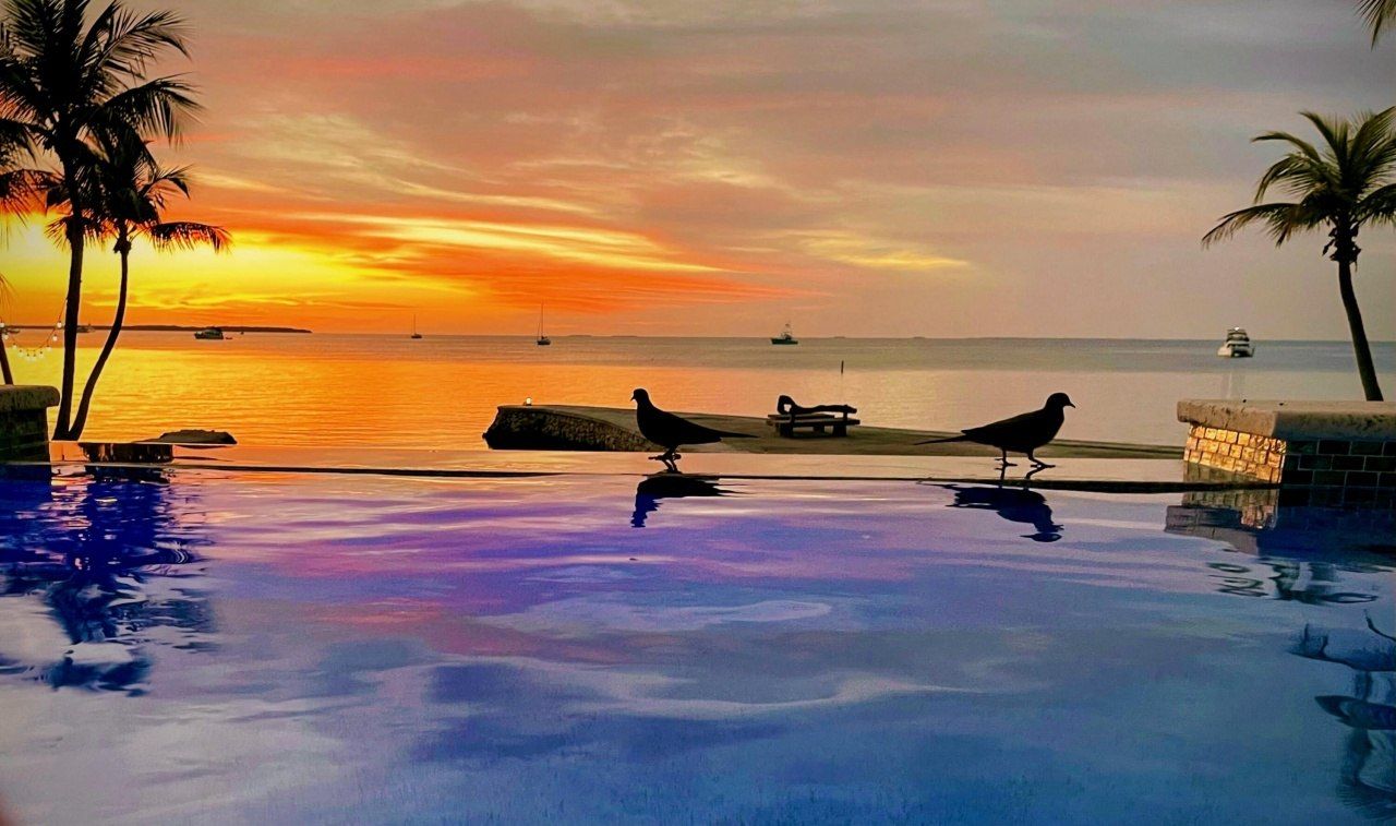 82768 Overseas Highway, Islamorada, FL 33036 Photo