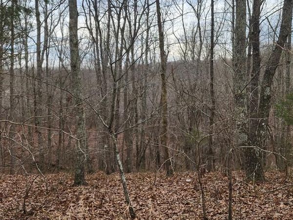 00000 Birdsong Rd, Holladay, TN 38341