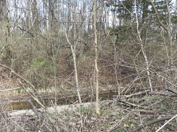 Briarwood Drive, Otsego, MI 49078