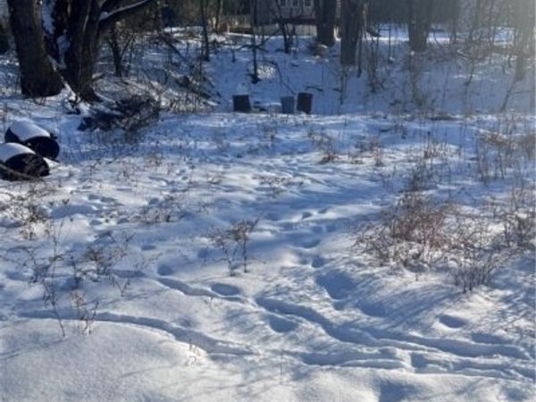 3168 Main Street, Claridge, PA 15623