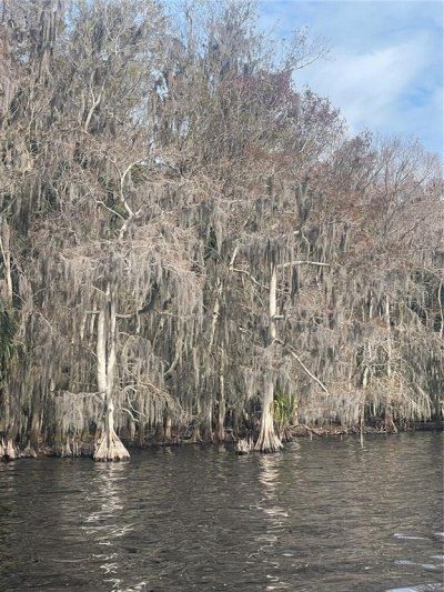 233 Stella Road, Georgetown, FL 32139 Photo