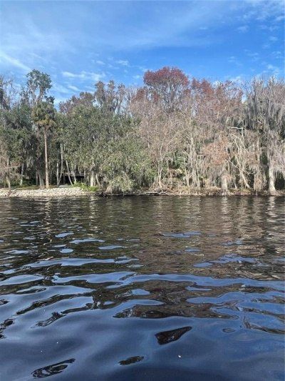 233 Stella Road, Georgetown, FL 32139 Photo