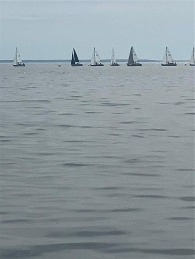 233 Stella Road, Georgetown, FL 32139 Photo