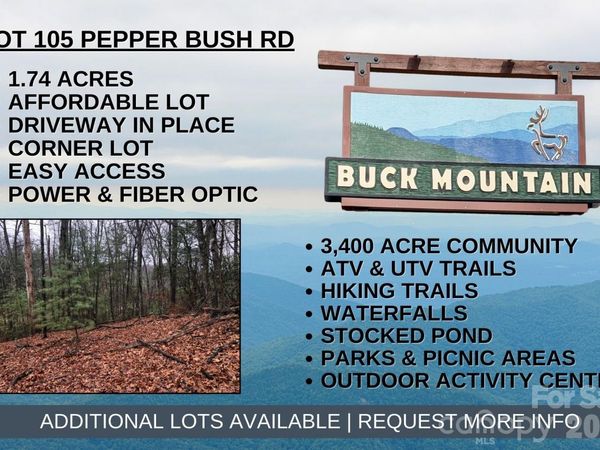 TBD Pepper Bush Road, Purlear, NC 28665