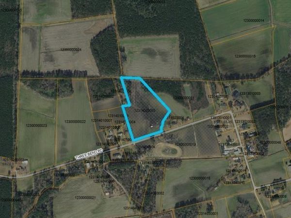 TBD Three Bend Rd., Nichols, SC 29581