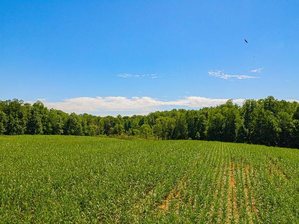 1936 E Clear Lake Road, Buchanan, MI 49107