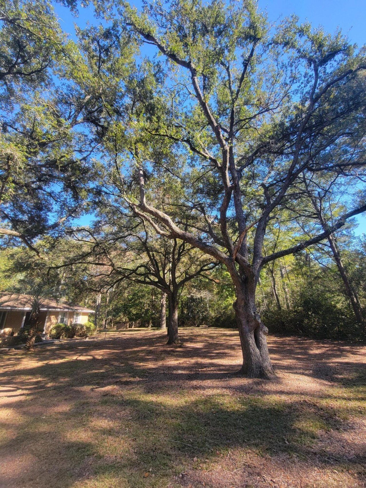 400 Murray Boulevard Photo 11