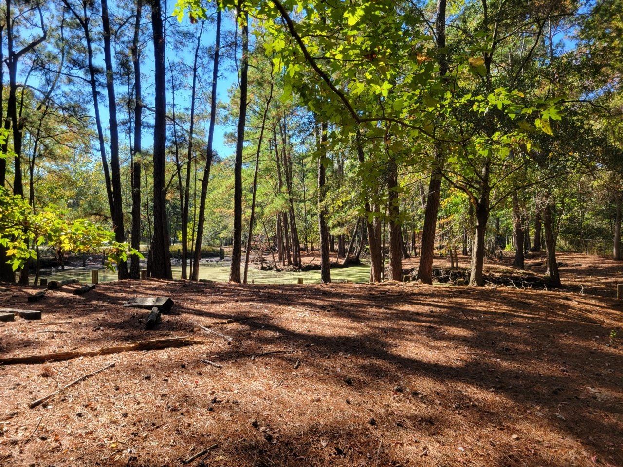 400 Murray Boulevard Photo 15