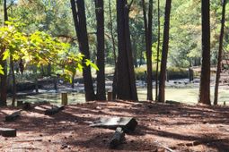 400 Murray Boulevard photo 4