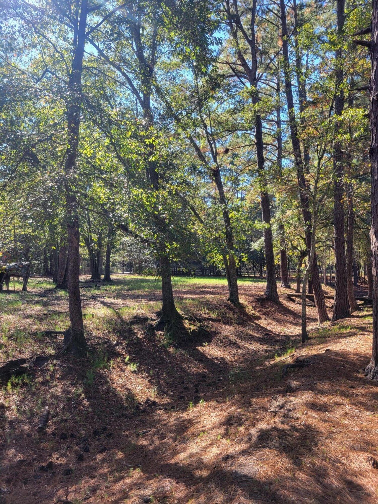 400 Murray Boulevard Photo 34