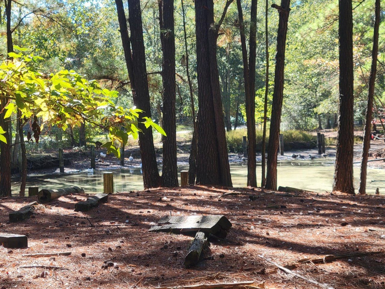 400 Murray Boulevard Photo 6