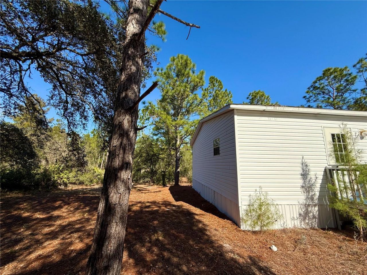 40001 Maggie Jones Road, Paisley, FL 32767 Photo