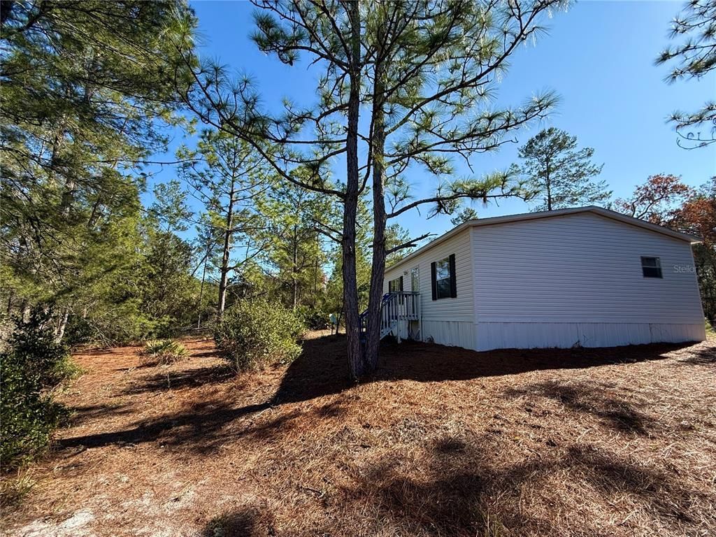 40001 Maggie Jones Road, Paisley, FL 32767 Photo