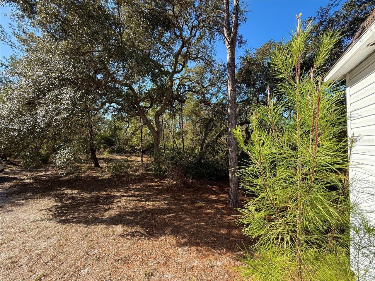 40001 Maggie Jones Road, Paisley, FL 32767 Photo