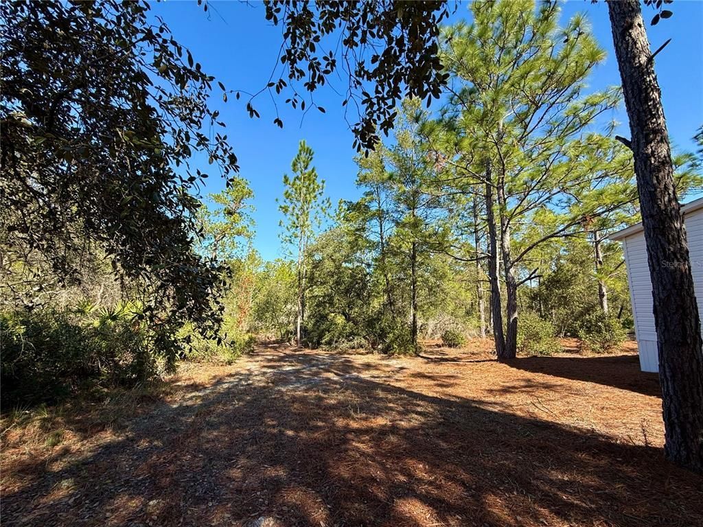 40001 Maggie Jones Road, Paisley, FL 32767 Photo