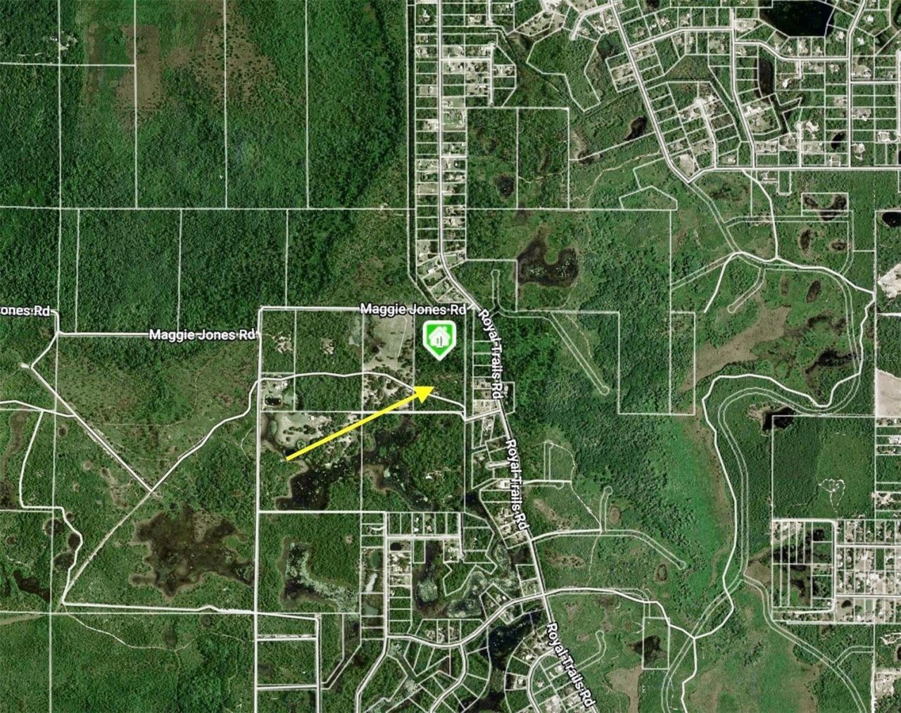 40001 Maggie Jones Road, Paisley, FL 32767 Photo