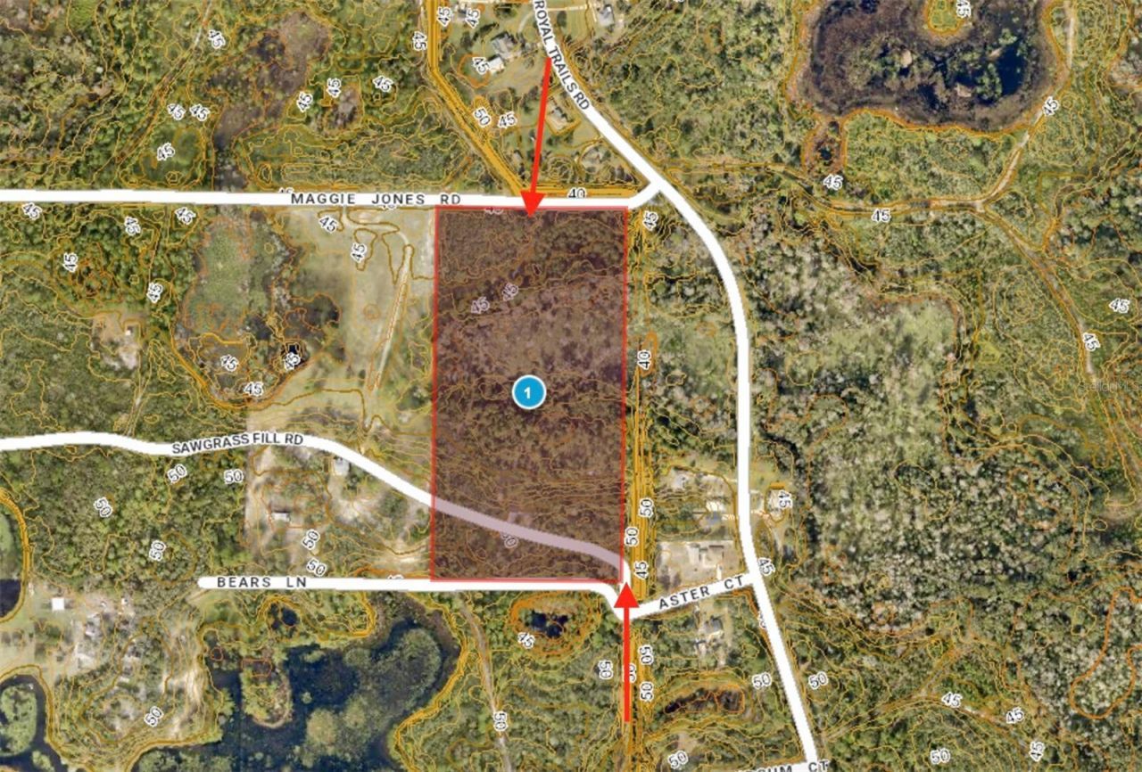 40001 Maggie Jones Road, Paisley, FL 32767 Photo