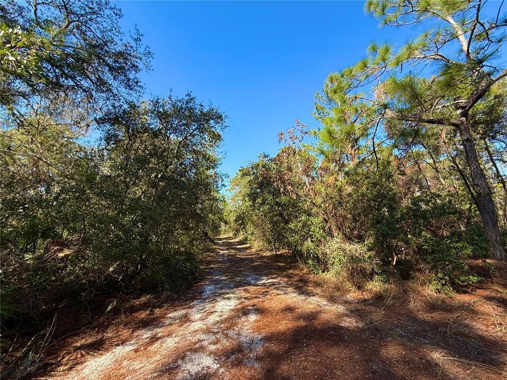 40001 Maggie Jones Road, Paisley, FL 32767 Photo