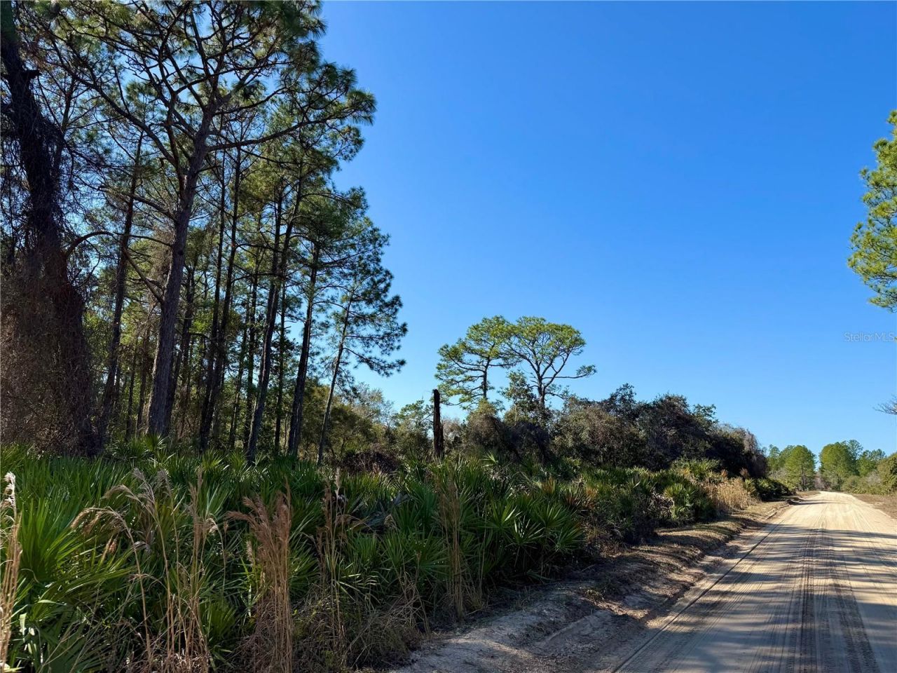 40001 Maggie Jones Road, Paisley, FL 32767 Photo