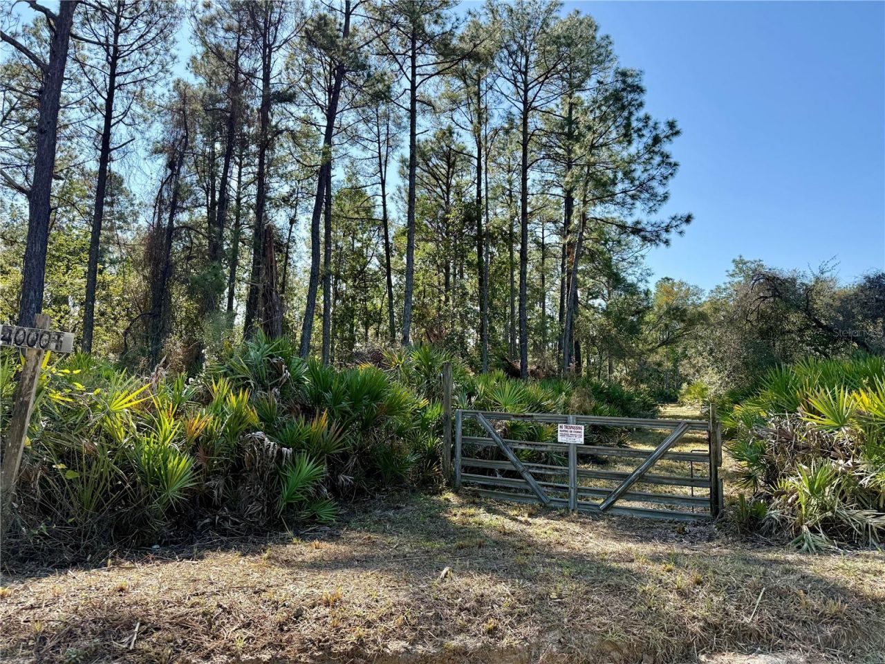 40001 Maggie Jones Road, Paisley, FL 32767 Photo