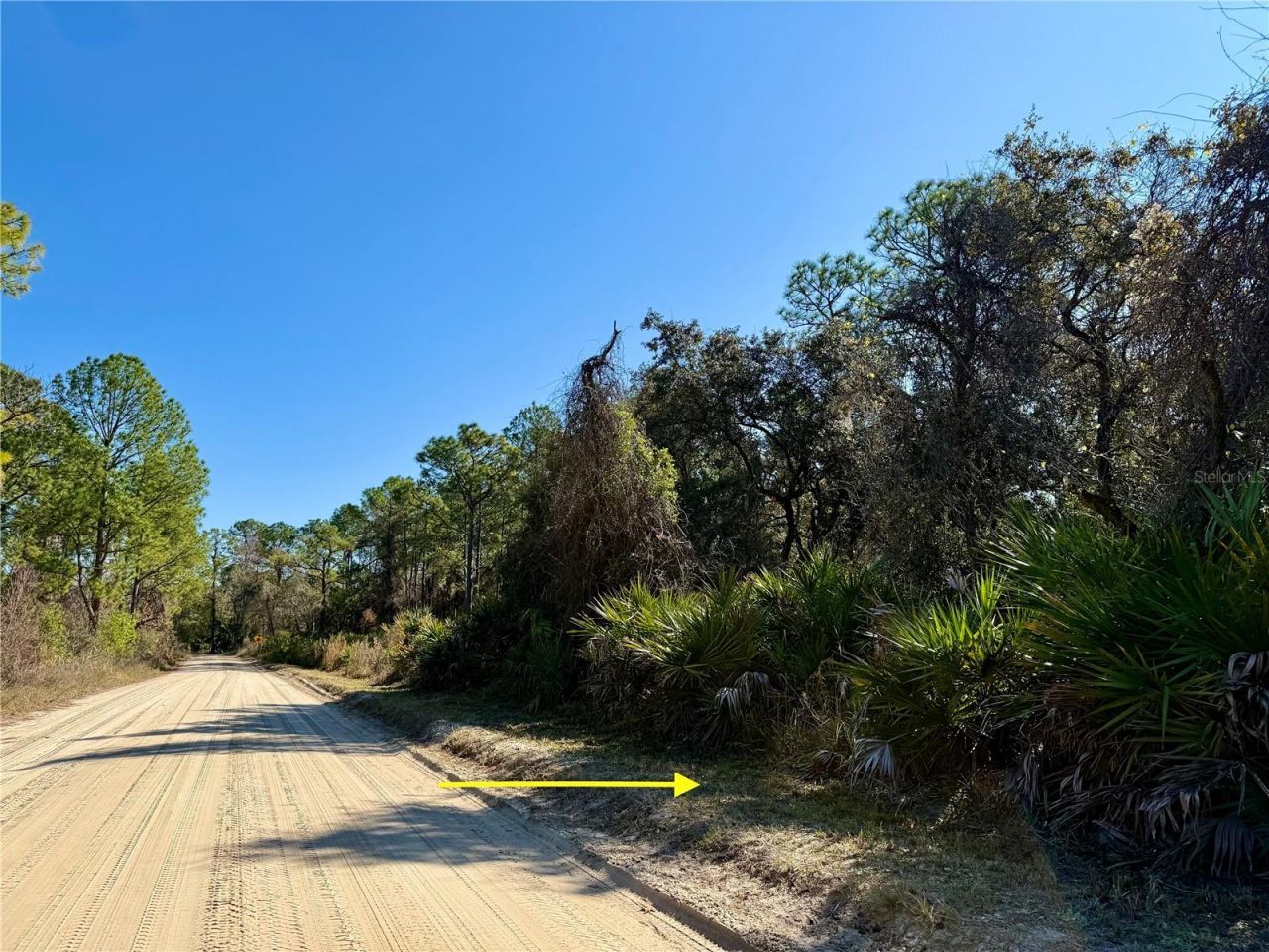 40001 Maggie Jones Road, Paisley, FL 32767 Photo