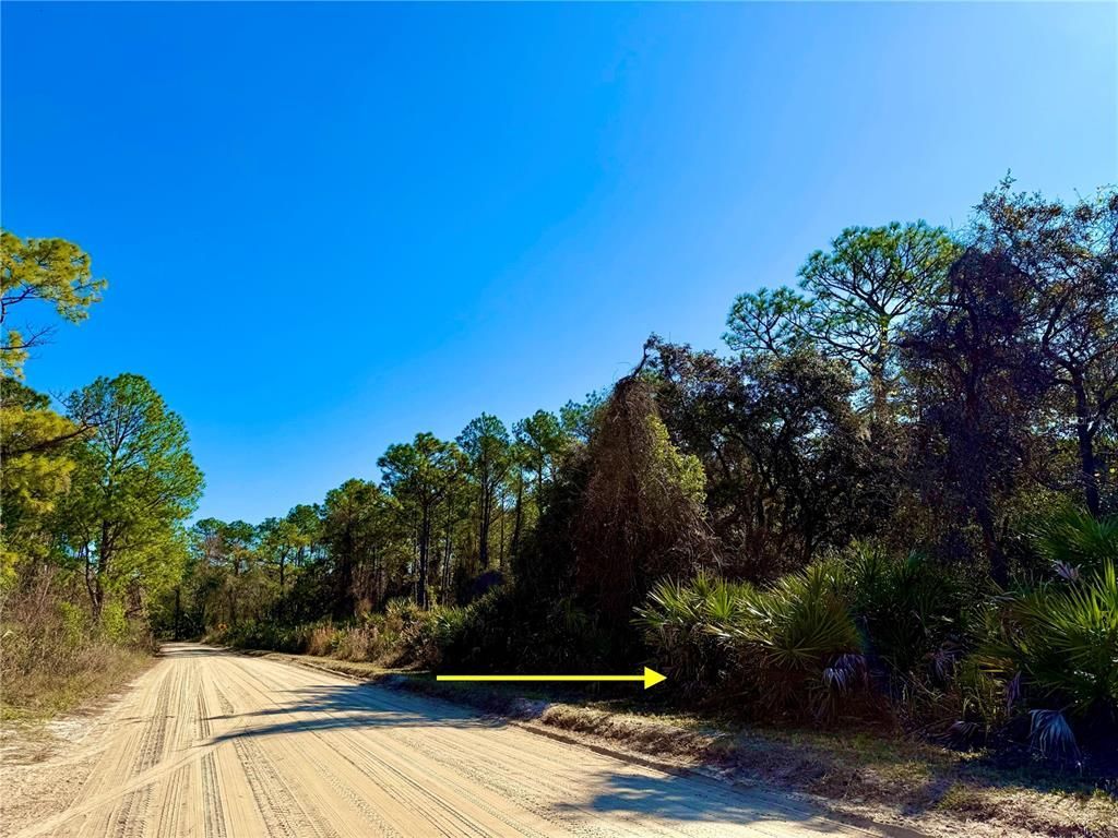 40001 Maggie Jones Road, Paisley, FL 32767 Photo