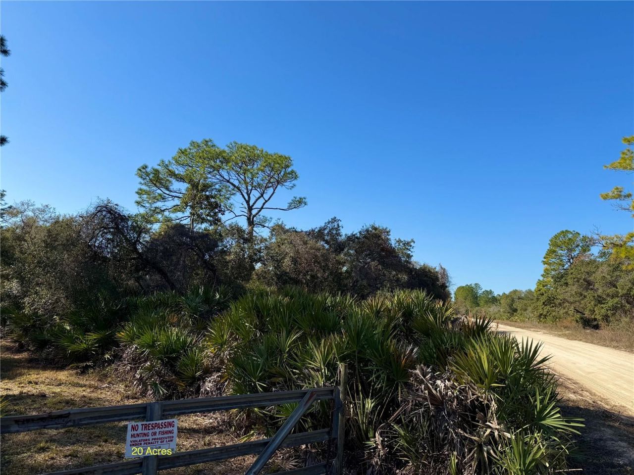 40001 Maggie Jones Road, Paisley, FL 32767 Photo