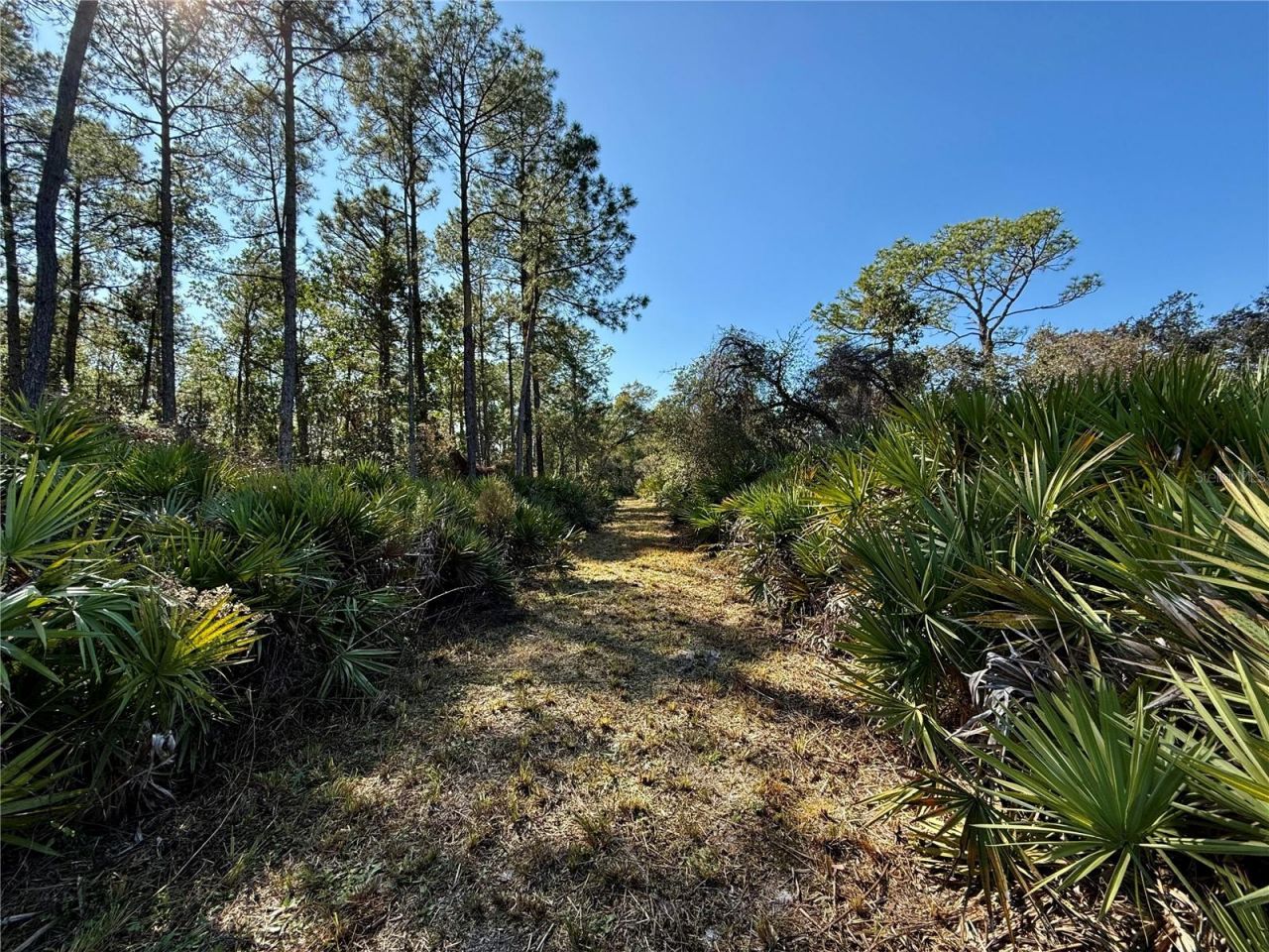 40001 Maggie Jones Road, Paisley, FL 32767 Photo