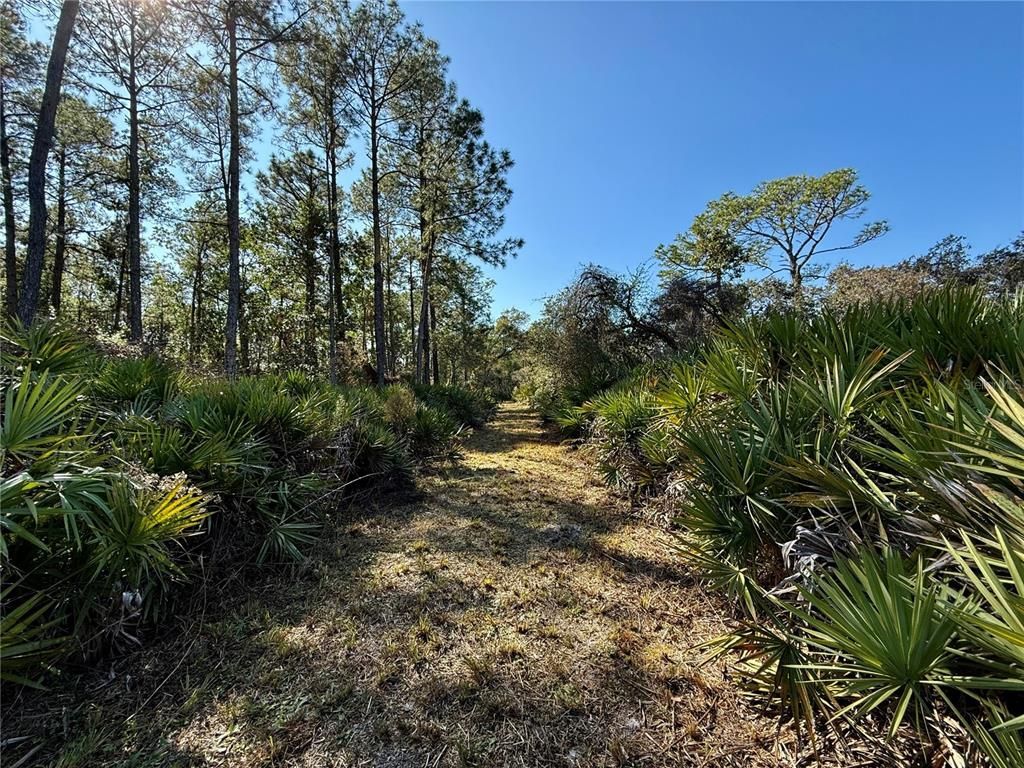 40001 Maggie Jones Road, Paisley, FL 32767 Photo