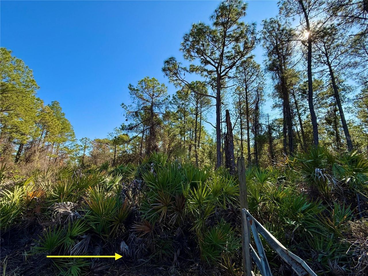 40001 Maggie Jones Road, Paisley, FL 32767 Photo