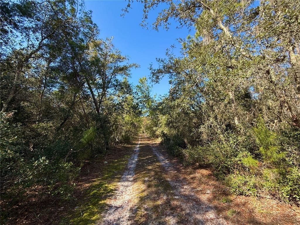 40001 Maggie Jones Road, Paisley, FL 32767 Photo