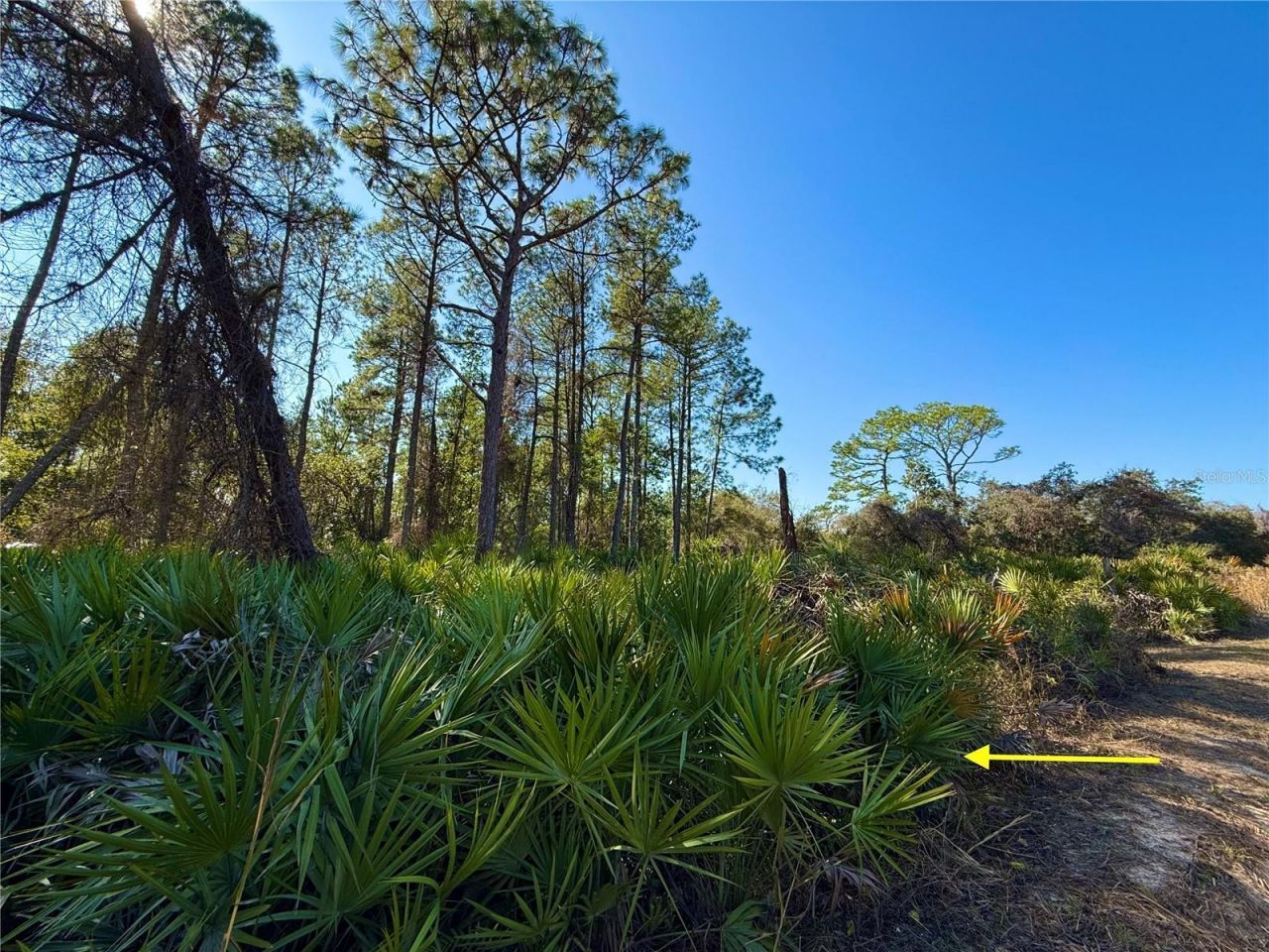 40001 Maggie Jones Road, Paisley, FL 32767 Photo