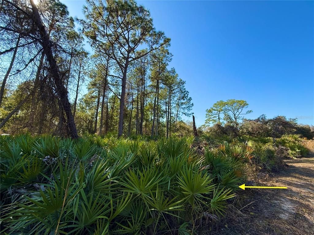 40001 Maggie Jones Road, Paisley, FL 32767 Photo