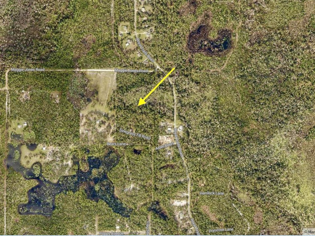 40001 Maggie Jones Road, Paisley, FL 32767 Photo