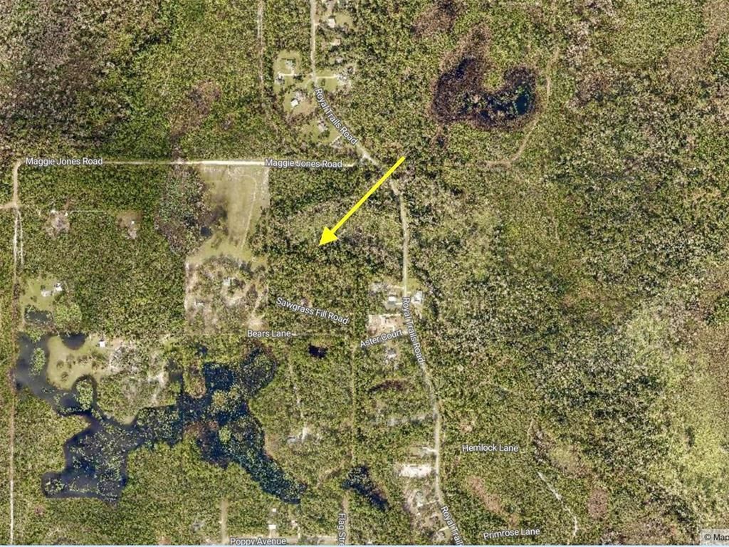 40001 Maggie Jones Road, Paisley, FL 32767 Photo