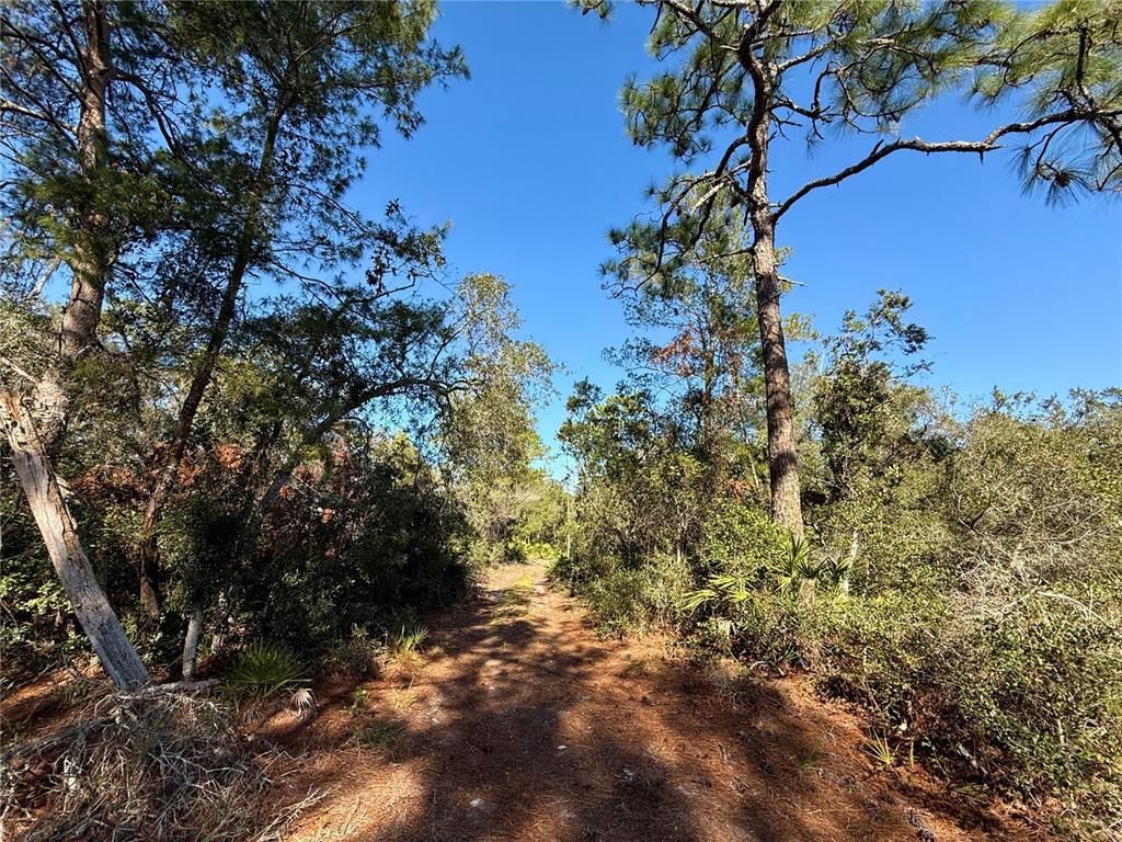 40001 Maggie Jones Road, Paisley, FL 32767 Photo