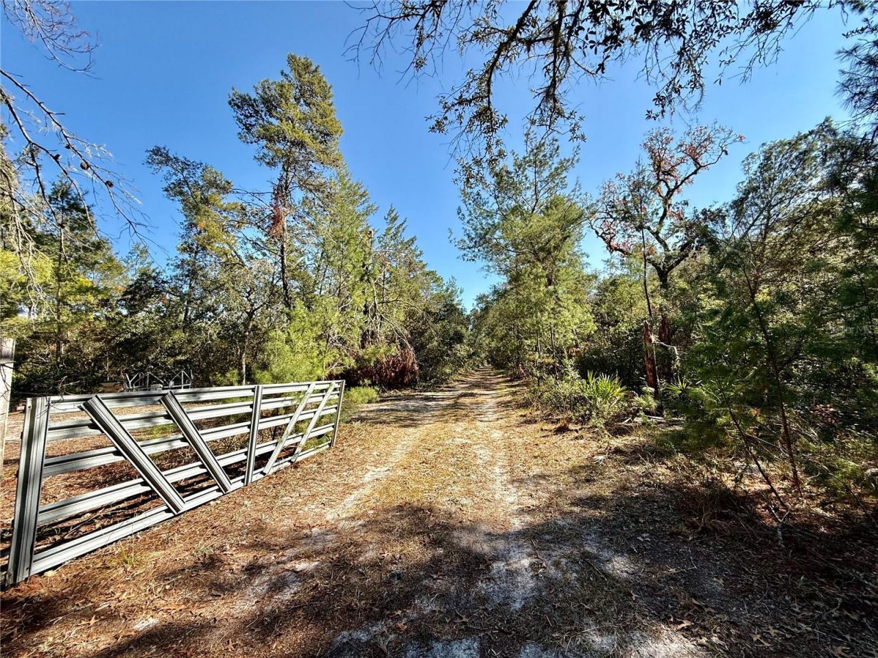 40001 Maggie Jones Road, Paisley, FL 32767 Photo