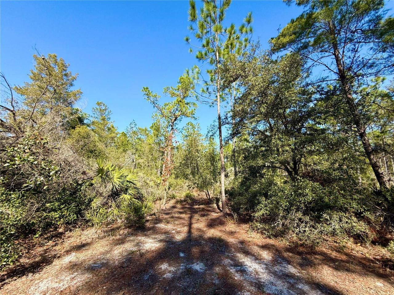 40001 Maggie Jones Road, Paisley, FL 32767 Photo