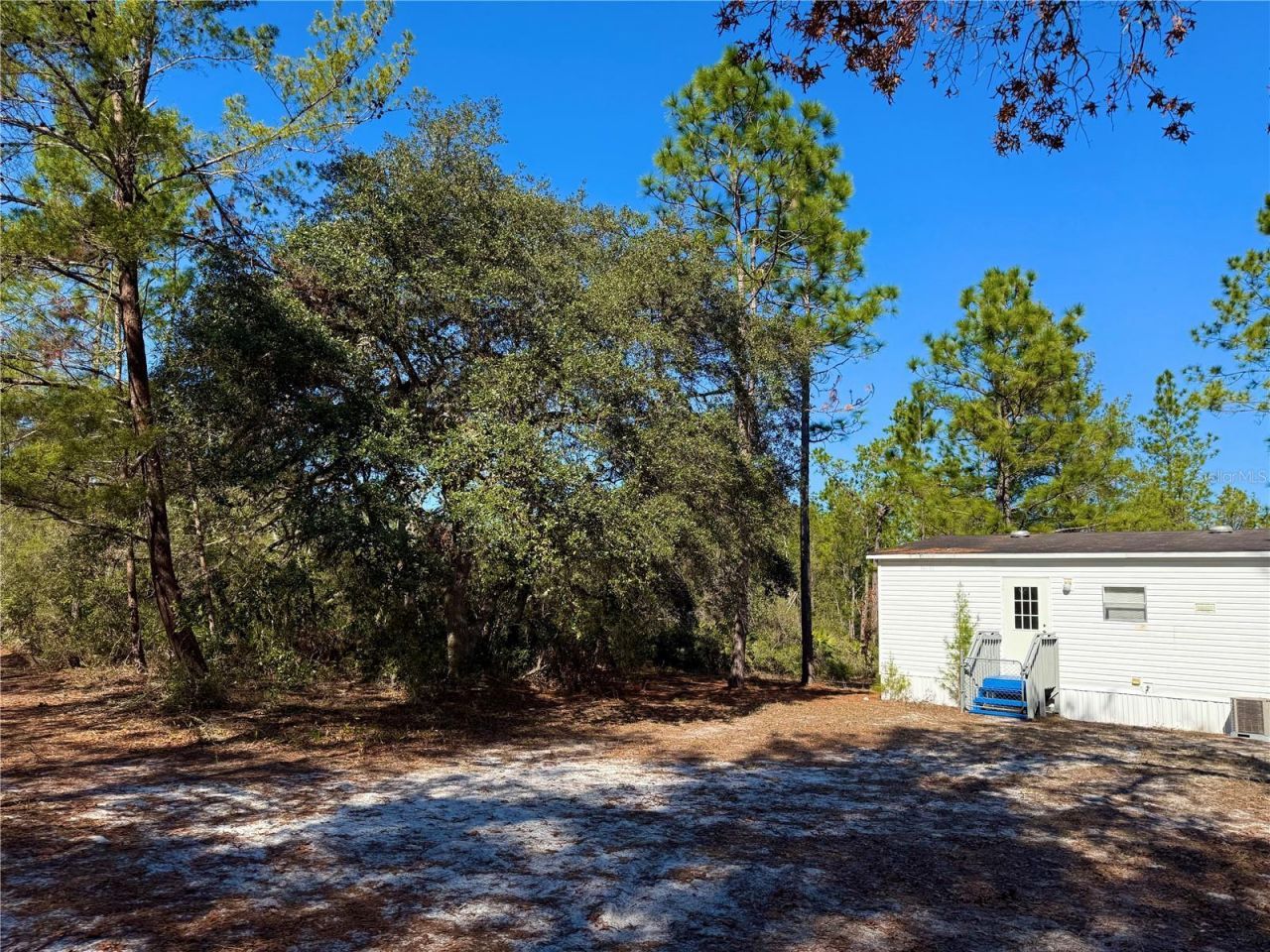 40001 Maggie Jones Road, Paisley, FL 32767 Photo