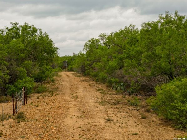 8 FM 1581, Pearsall, TX 78061