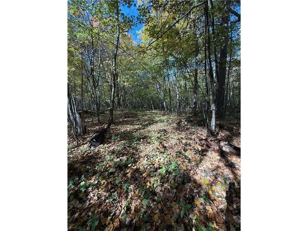 TBD Hwy 8, Turtle Lake, WI 54889