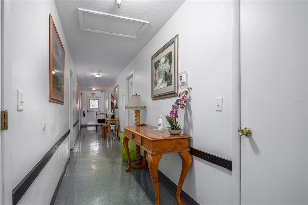 5650 NW 219 Street, Micanopy, FL 32667 Photo