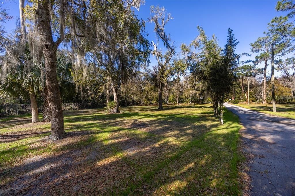 5650 NW 219 Street, Micanopy, FL 32667 Photo