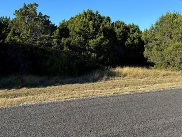 43002 Whisperwood Drive, Whitney, TX 76692